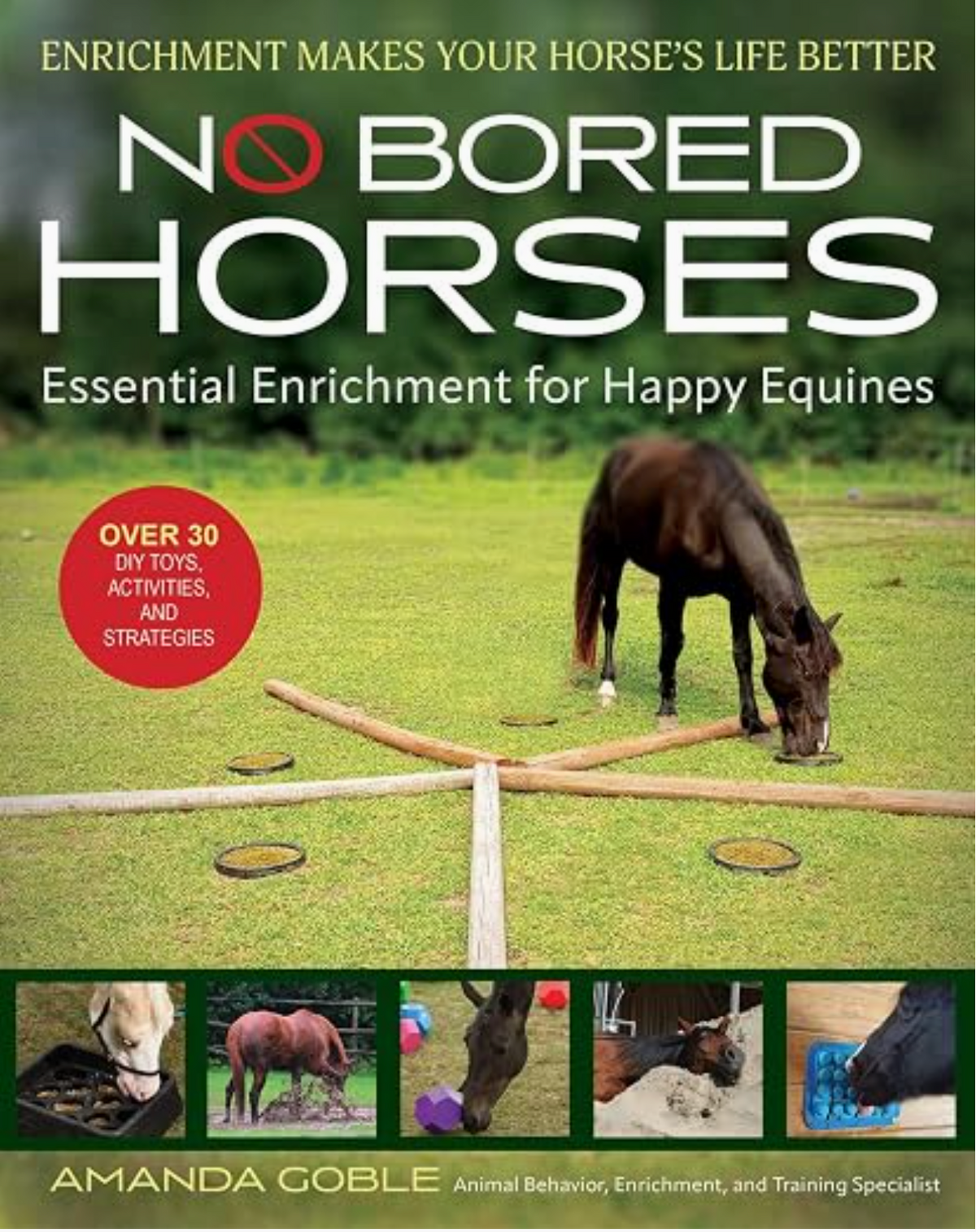 No Bored Horses: Essential Enrichment for Happy Equines