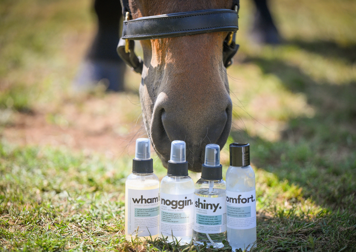 Horse and Rider Essentials Bundle - PRE-ORDER