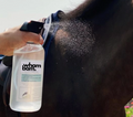 Wham Bam Coat Spray